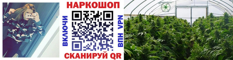  COCAIN Тырныауз